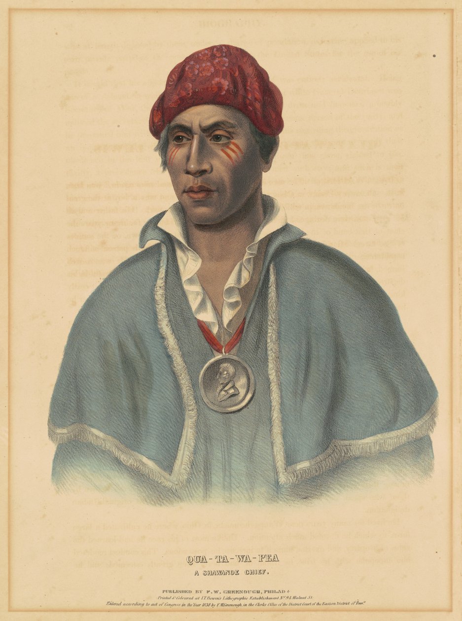 Quarter-Wa Pair, Obrázek osoby w Wisdom f od Albert Newsam, after Henry Inman, after Charles Bird King