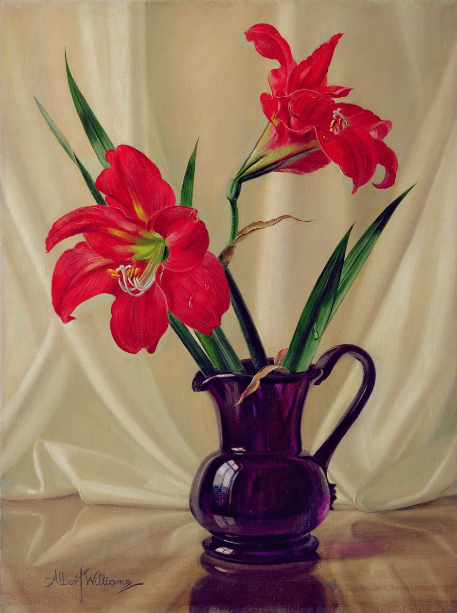 Amaryllis Lilies, v tmavém skleněném džbánu od Albert Williams