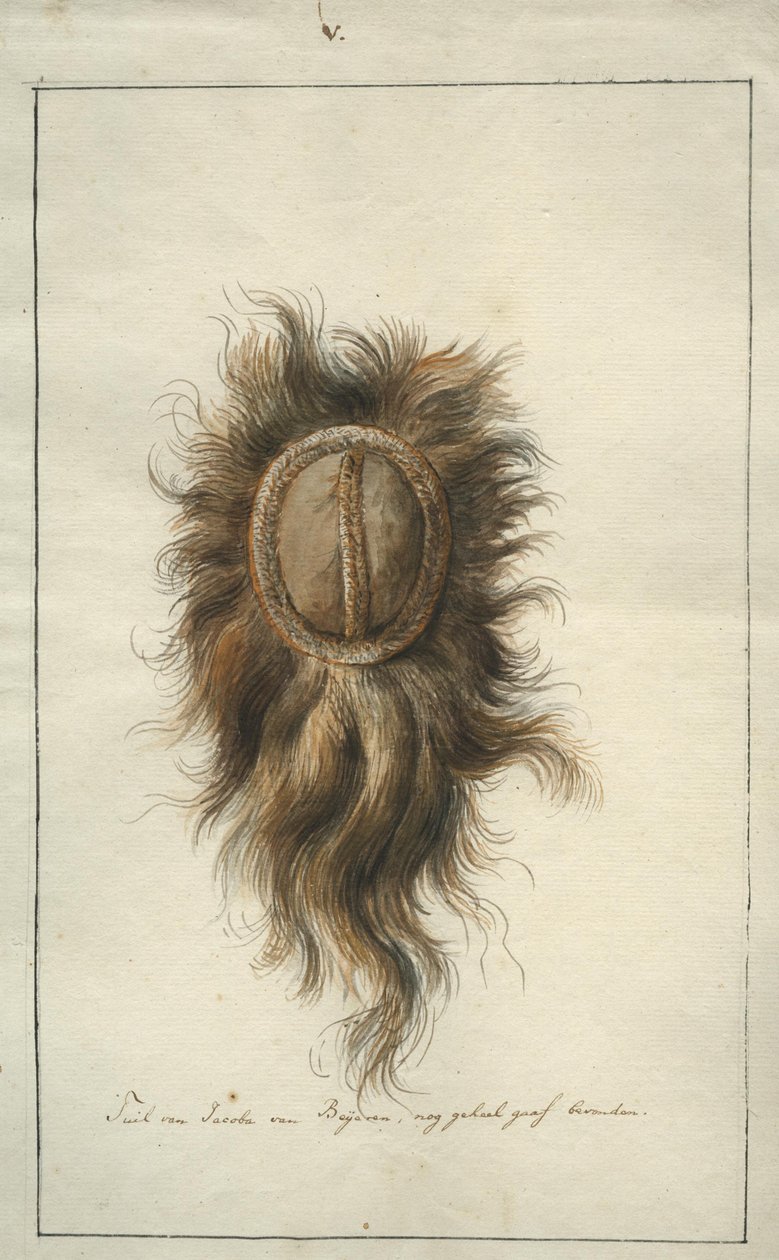 Čelenka Jacoba van Beijerena od Albertus Frese de Jonge