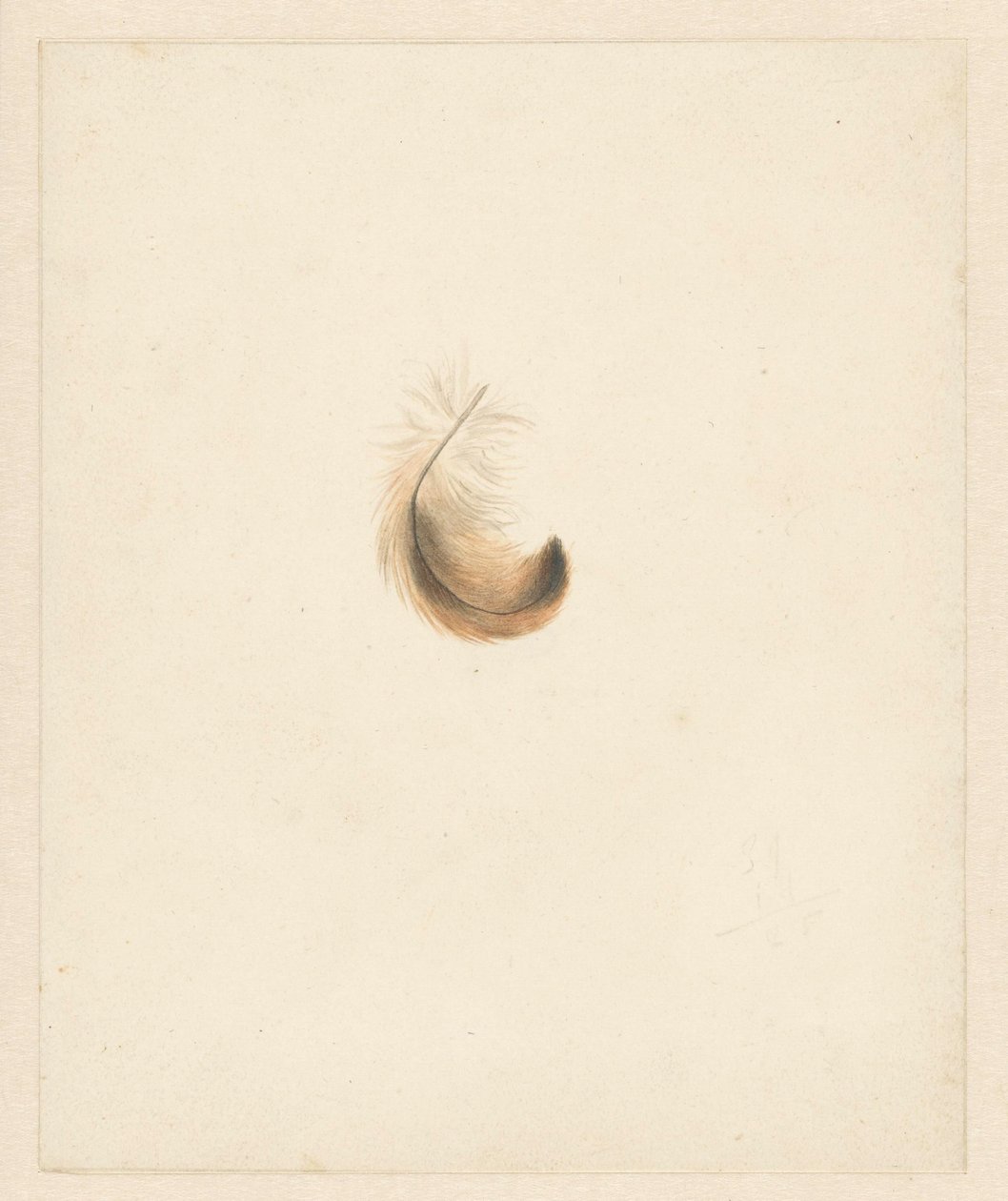 Studie peří od Albertus Steenbergen