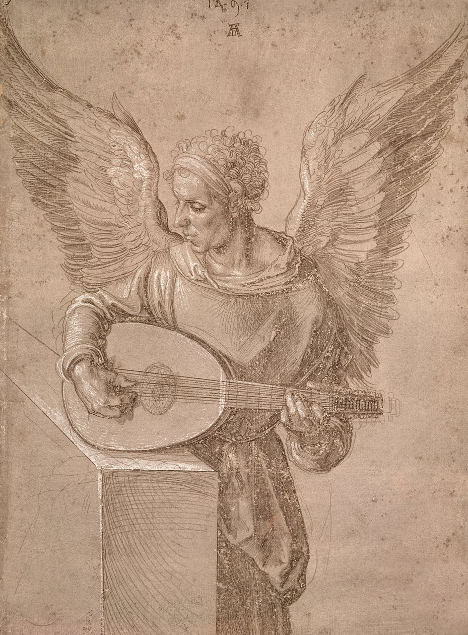 Anděl hrající na loutnu, 1491 od Albrecht Dürer