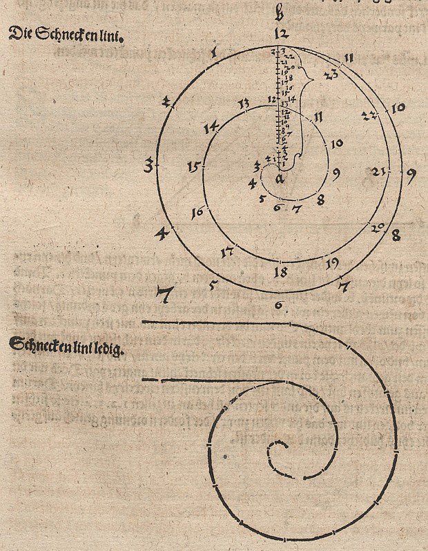 Archimedische Spirale od Albrecht Dürer