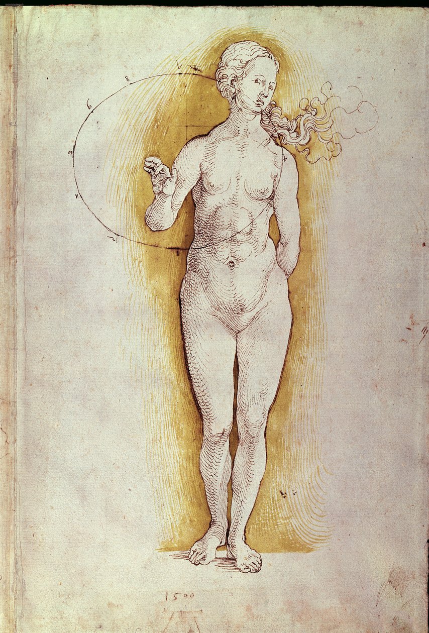 Ženský akt (pero a inkoust na papíře) od Albrecht Dürer