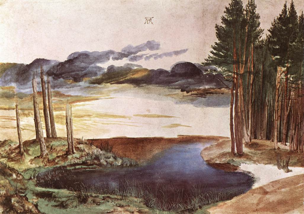 Rybník v lese od Albrecht Dürer