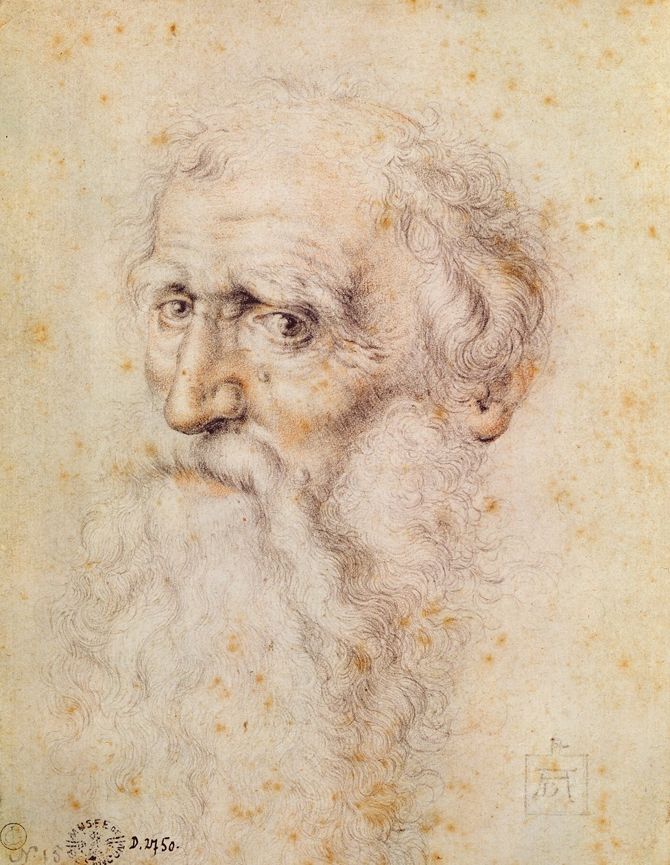 Portrét vousatého starého muže (červená křída und pierre noire) od Albrecht Dürer