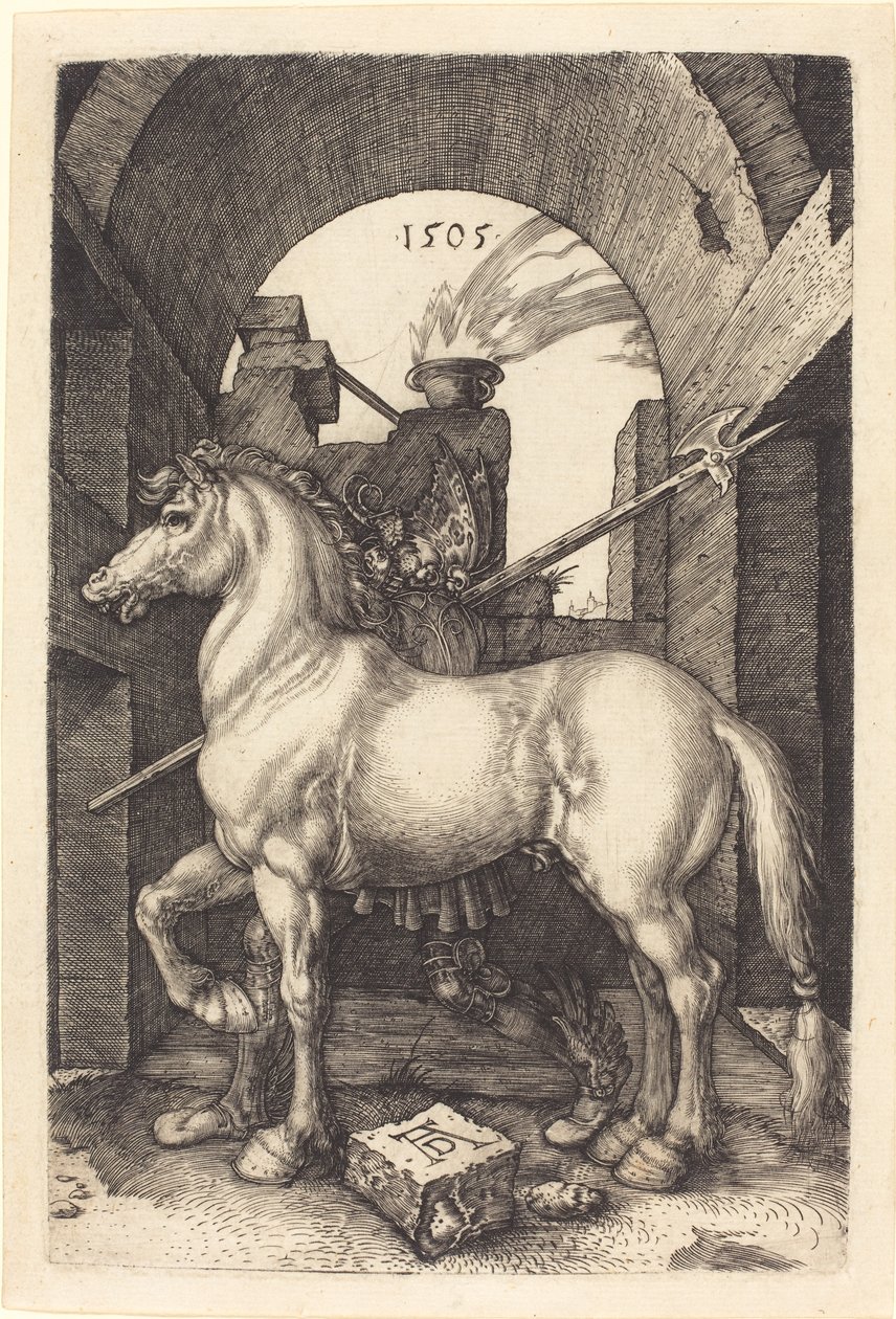 Malý kůň od Albrecht Dürer