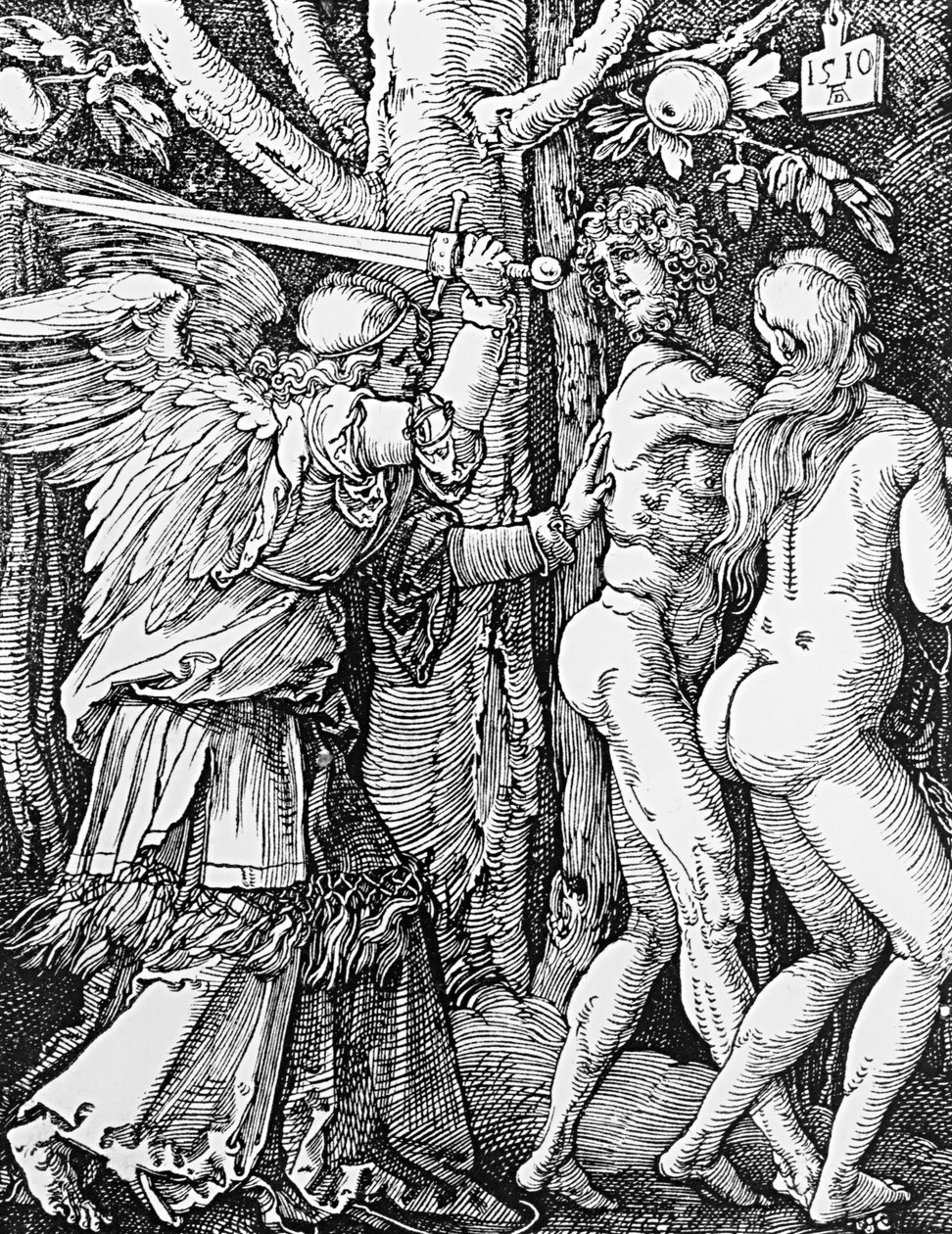 Vyhnání z ráje, 1510 od Albrecht Dürer