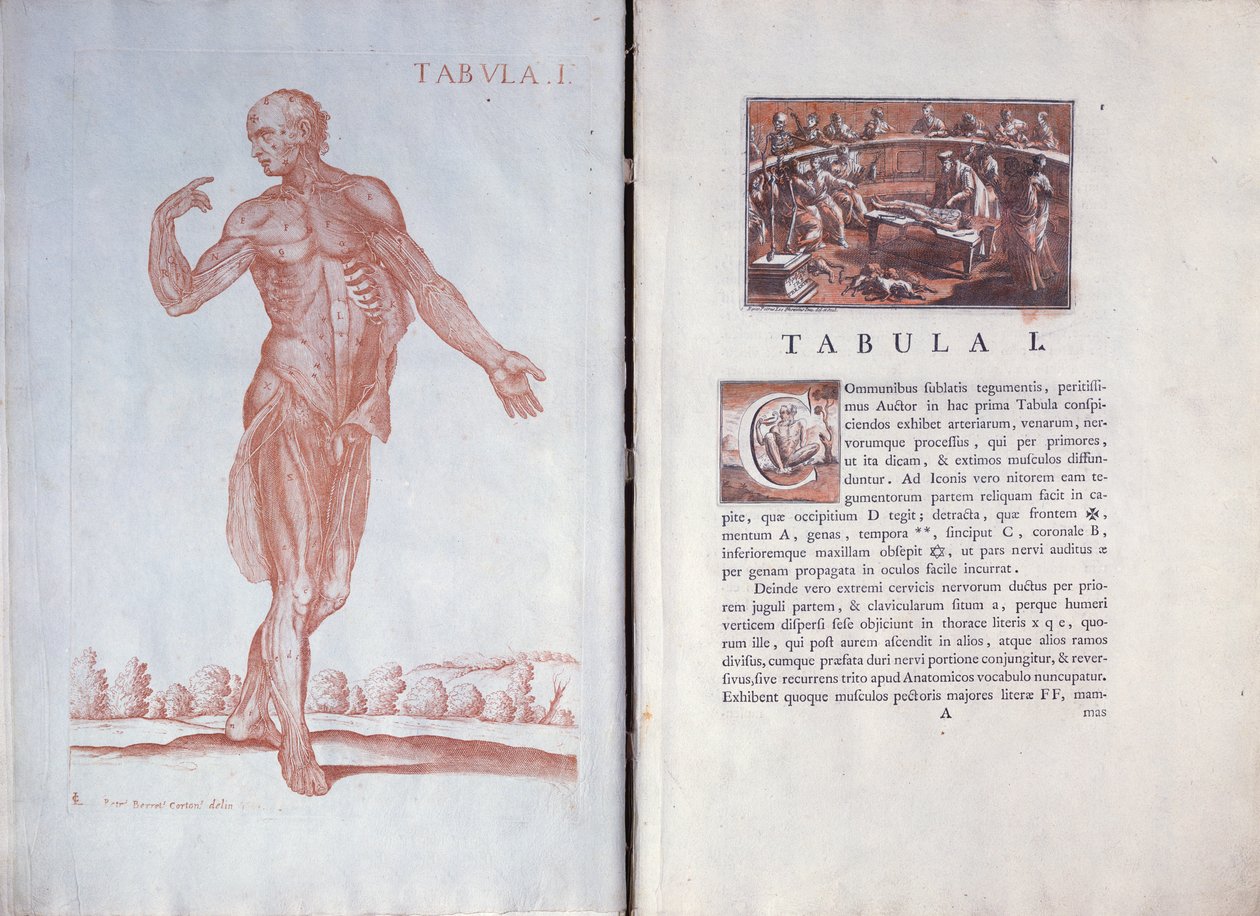 Bičování Ježíše Krista od Albrecht Dürer