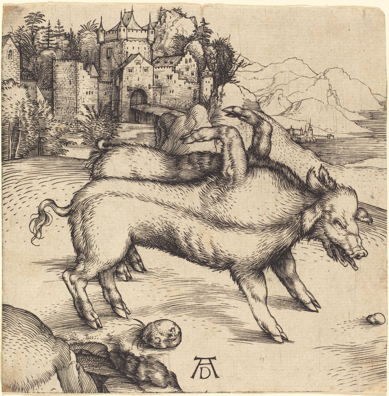 Monstrózní prase z Landseru od Albrecht Dürer