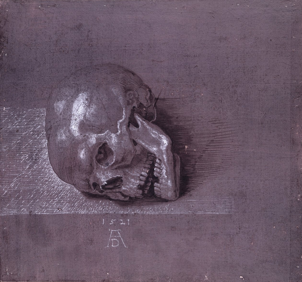 Studie lidské lebky, 1521 (pero a inkoust a křída na papíře) od Albrecht Dürer