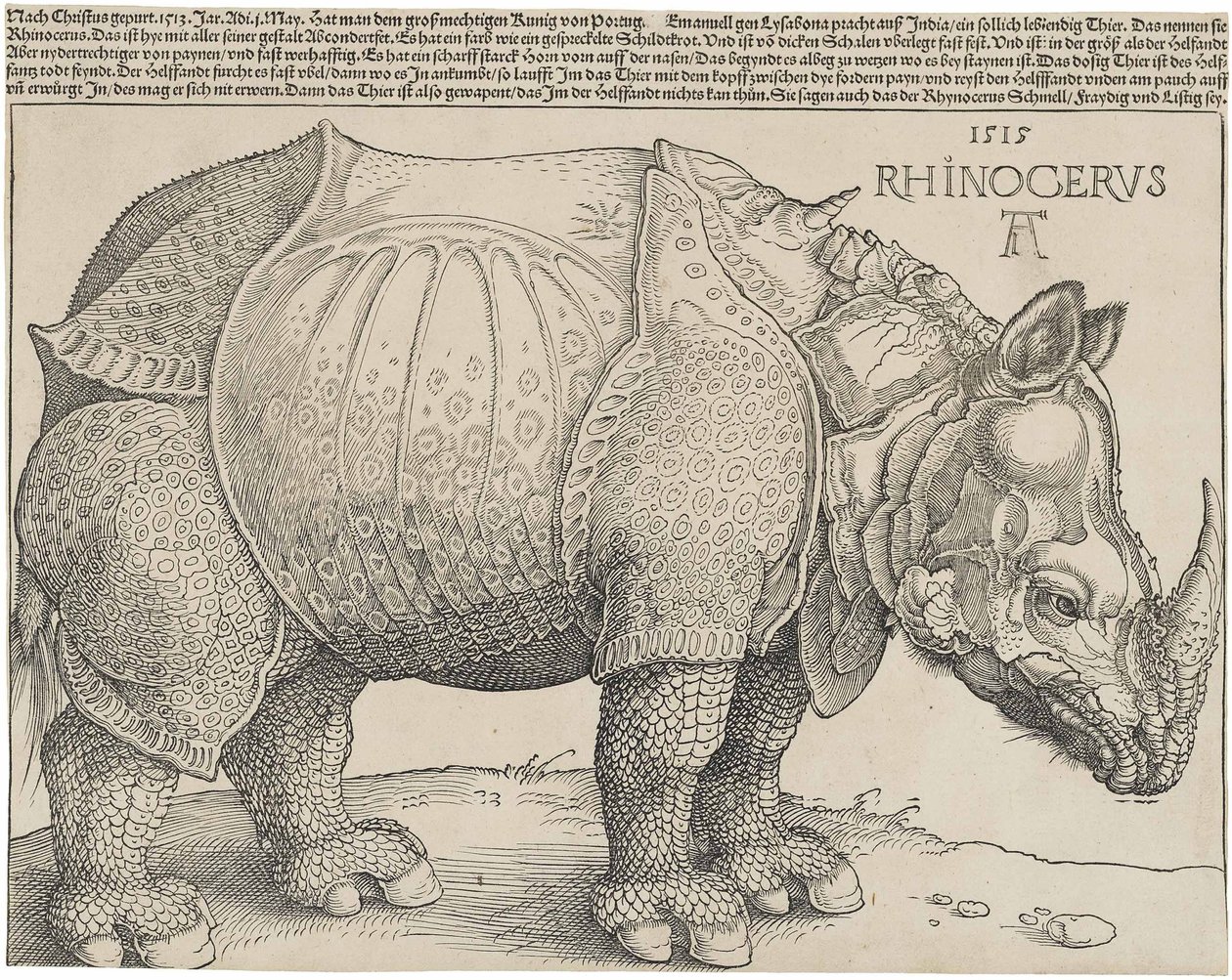 Nosorožec, 1515 od Albrecht Dürer