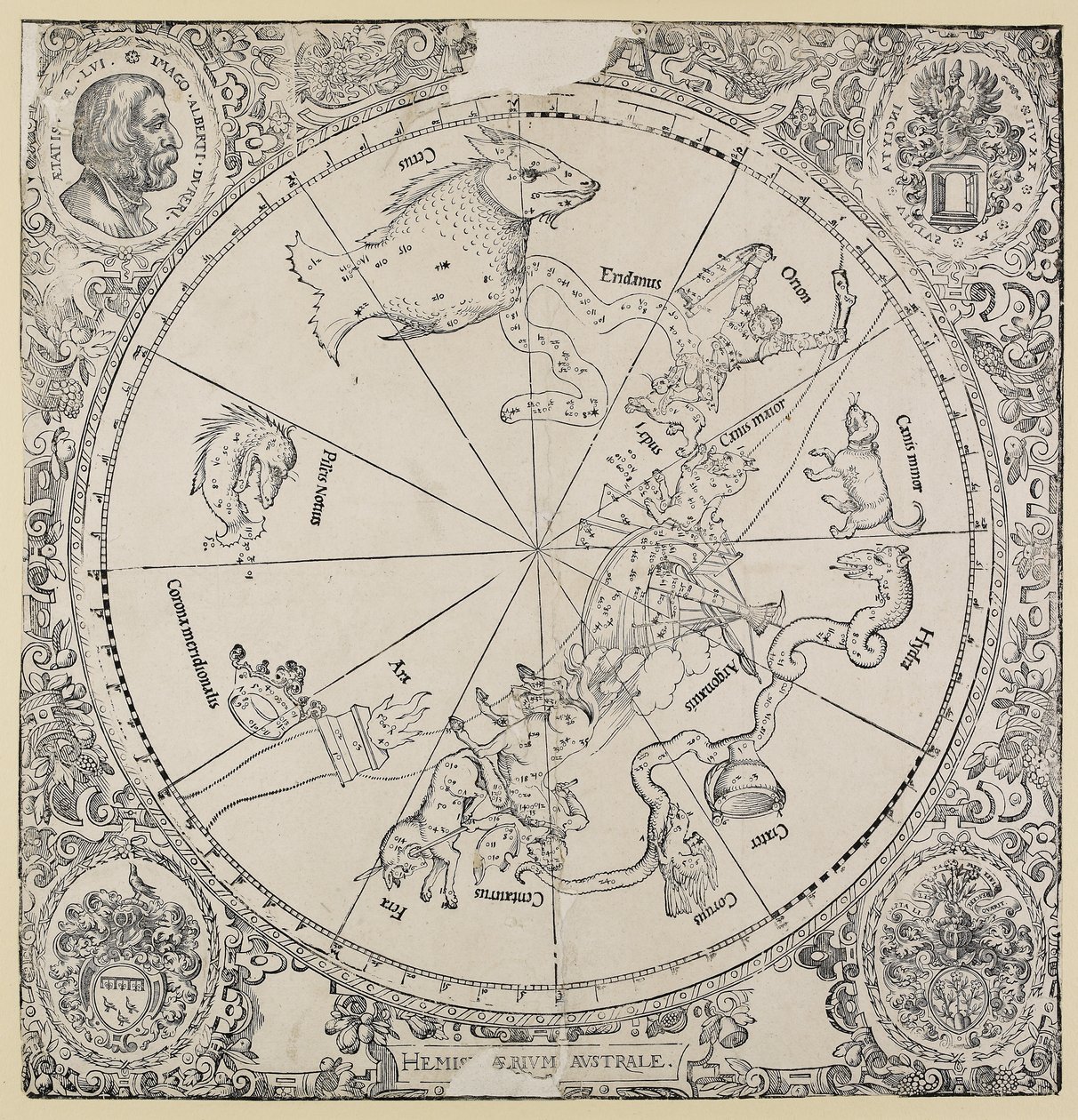Nebeská mapa jižní polokoule od Albrecht Dürer