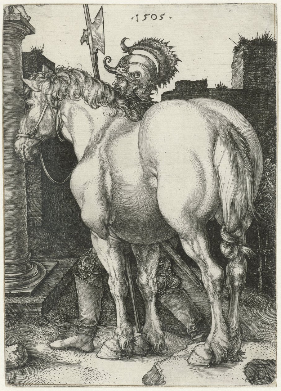 Velký kůň od Albrecht (after) Durer or Duerer