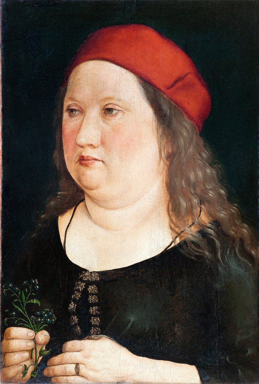 Neznámý hlídač od Albrecht (attr. to) Durer or Duerer
