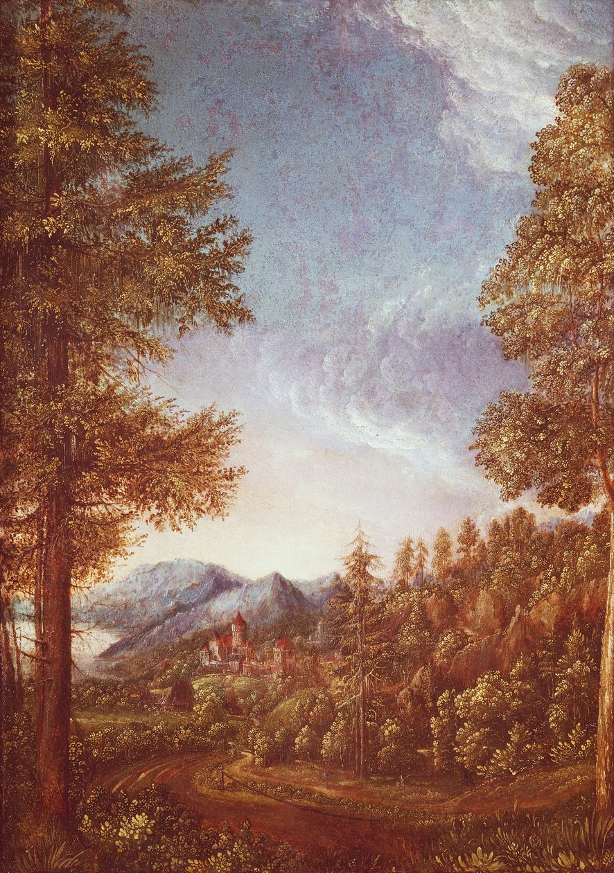Dunajská krajina s hradem Worth, kolem 1522-25 (pergamen na buku) od Albrecht Altdorfer