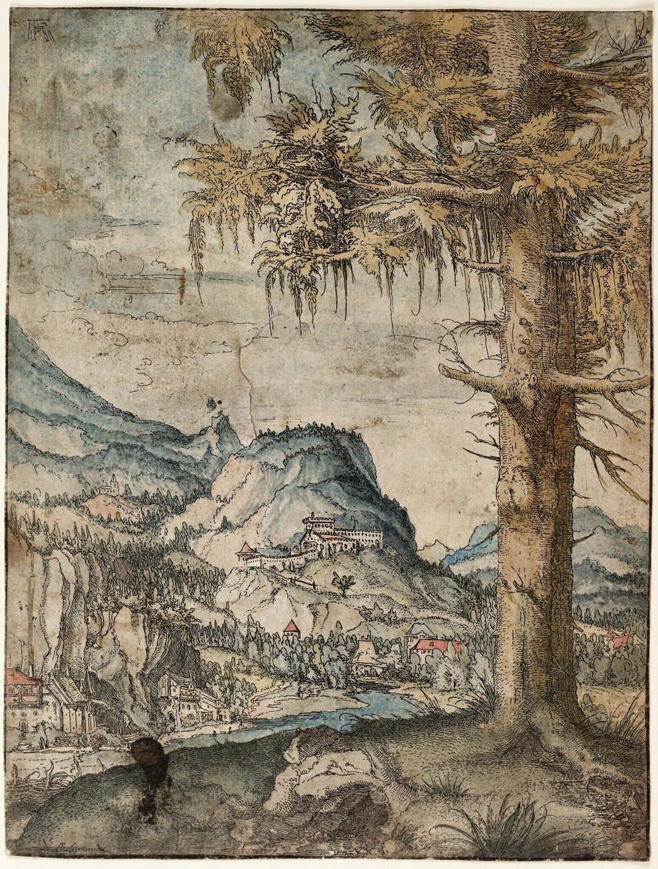 Němčina: Velký smrk Velký smrk od Albrecht Altdorfer