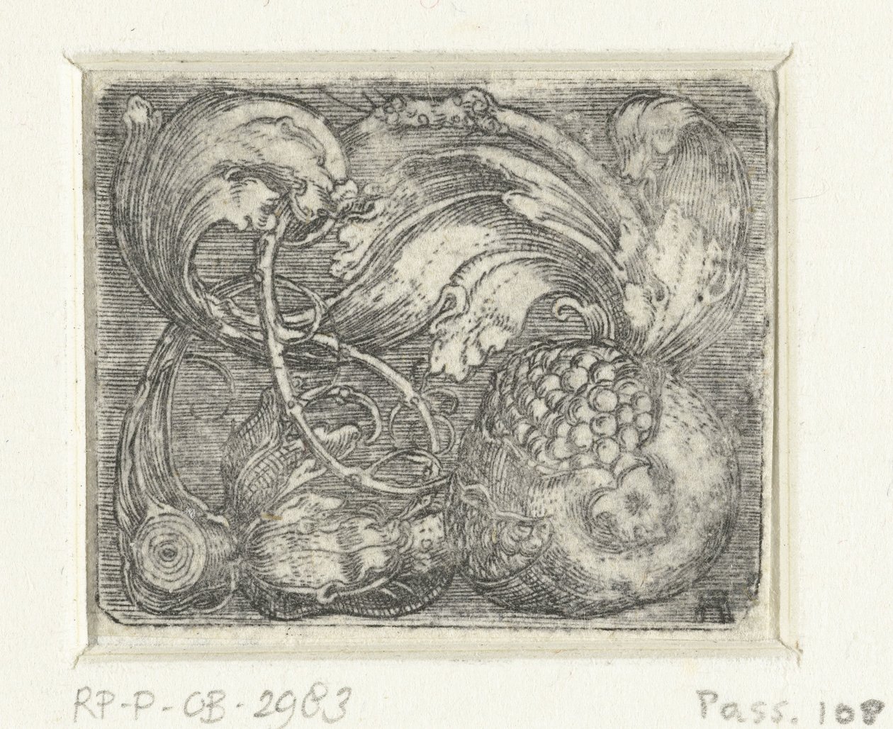 Granátové jablko a listová réva od Albrecht Altdorfer
