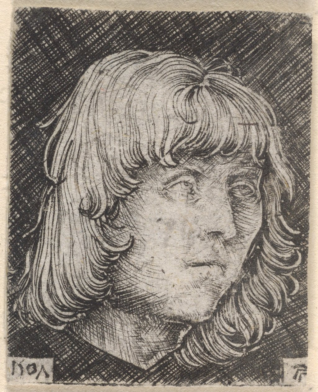 Hlava mladého muže od Albrecht Altdorfer