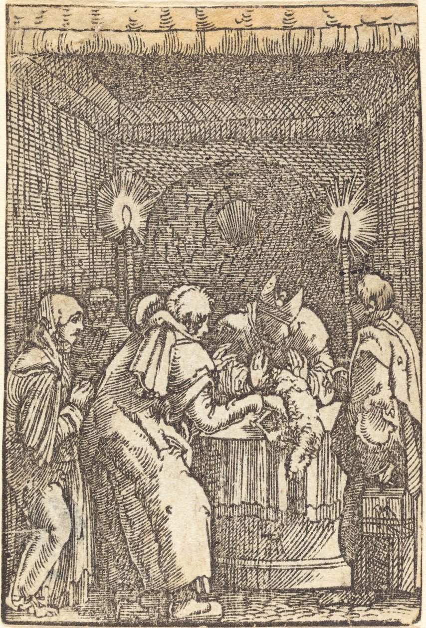 Joachimova nabídka odmítnuta od Albrecht Altdorfer