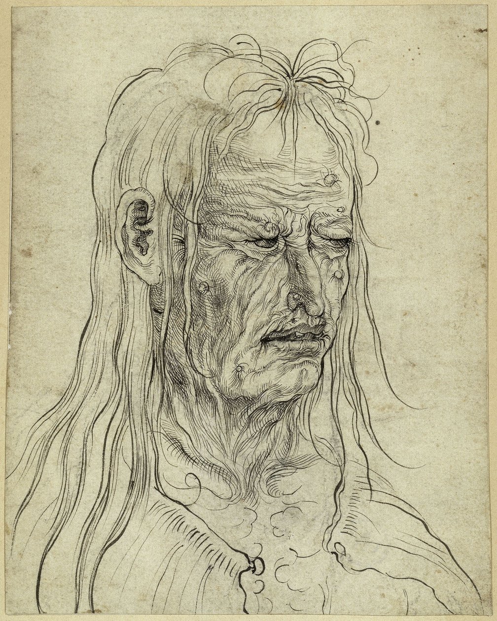 Hlava ošklivé stařeny, pohled doprava od Albrecht Altdorfer