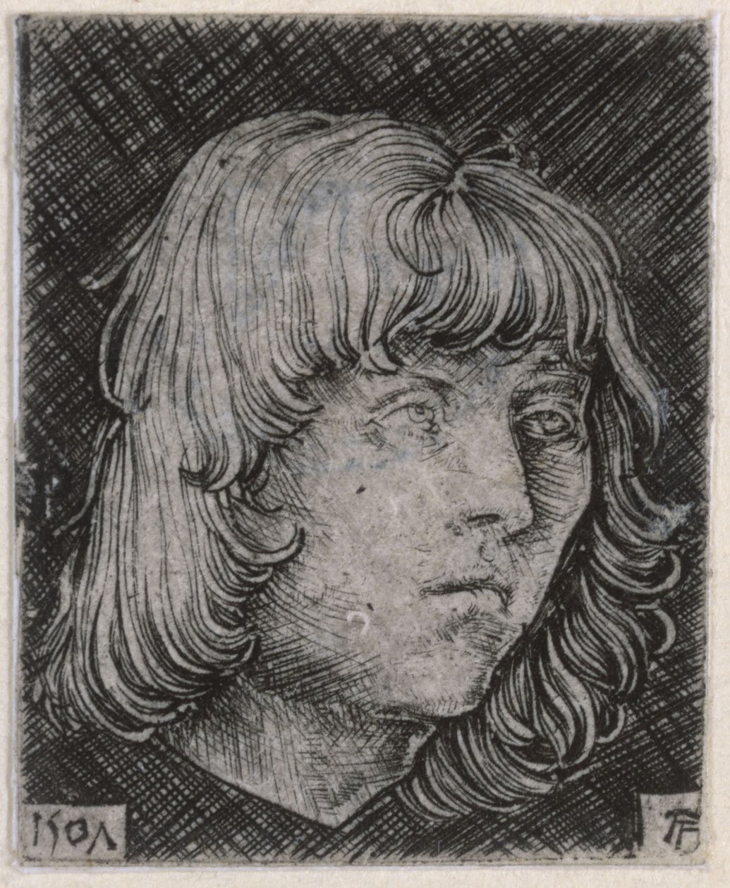 Hlava mladého muže od Albrecht Altdorfer