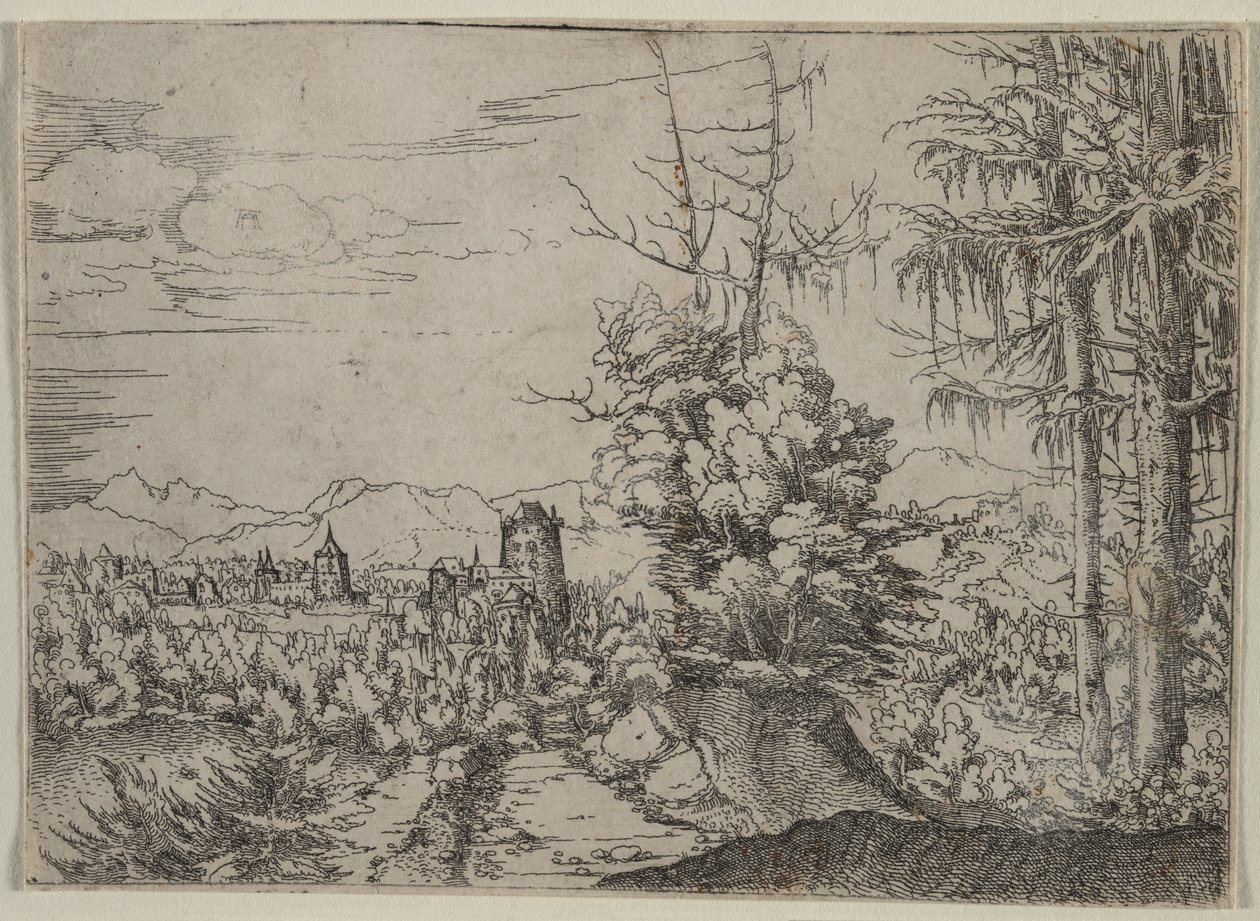 Krajina se dvěma borovicemi od Albrecht Altdorfer