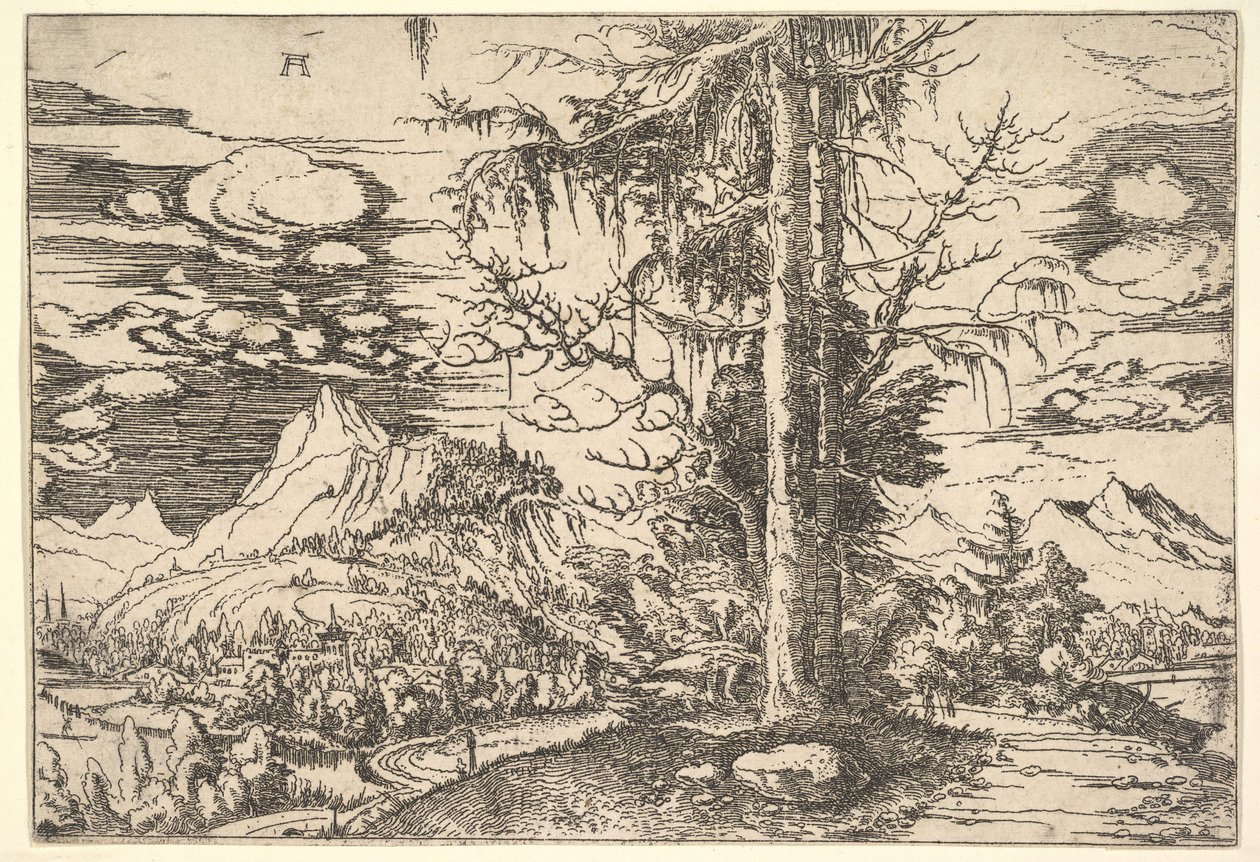 Krajina s dvojitým smrkem, ca. 1521-22. od Albrecht Altdorfer