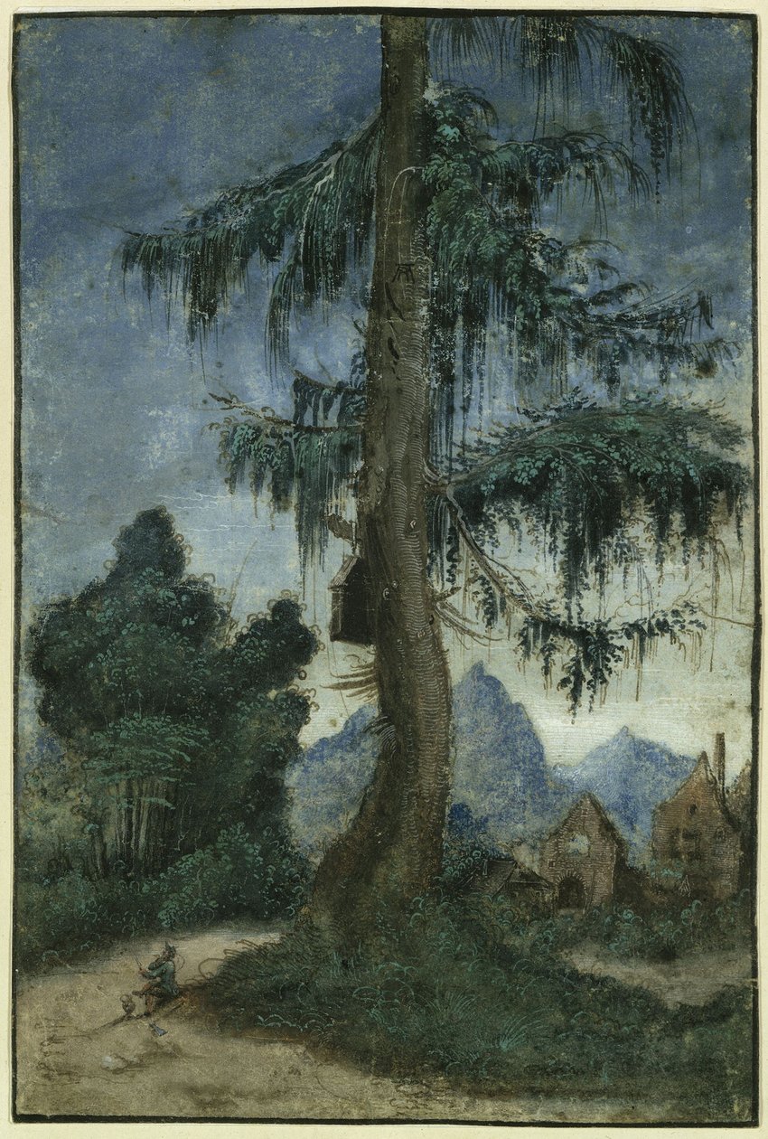 Krajina se smrkem od Albrecht Altdorfer