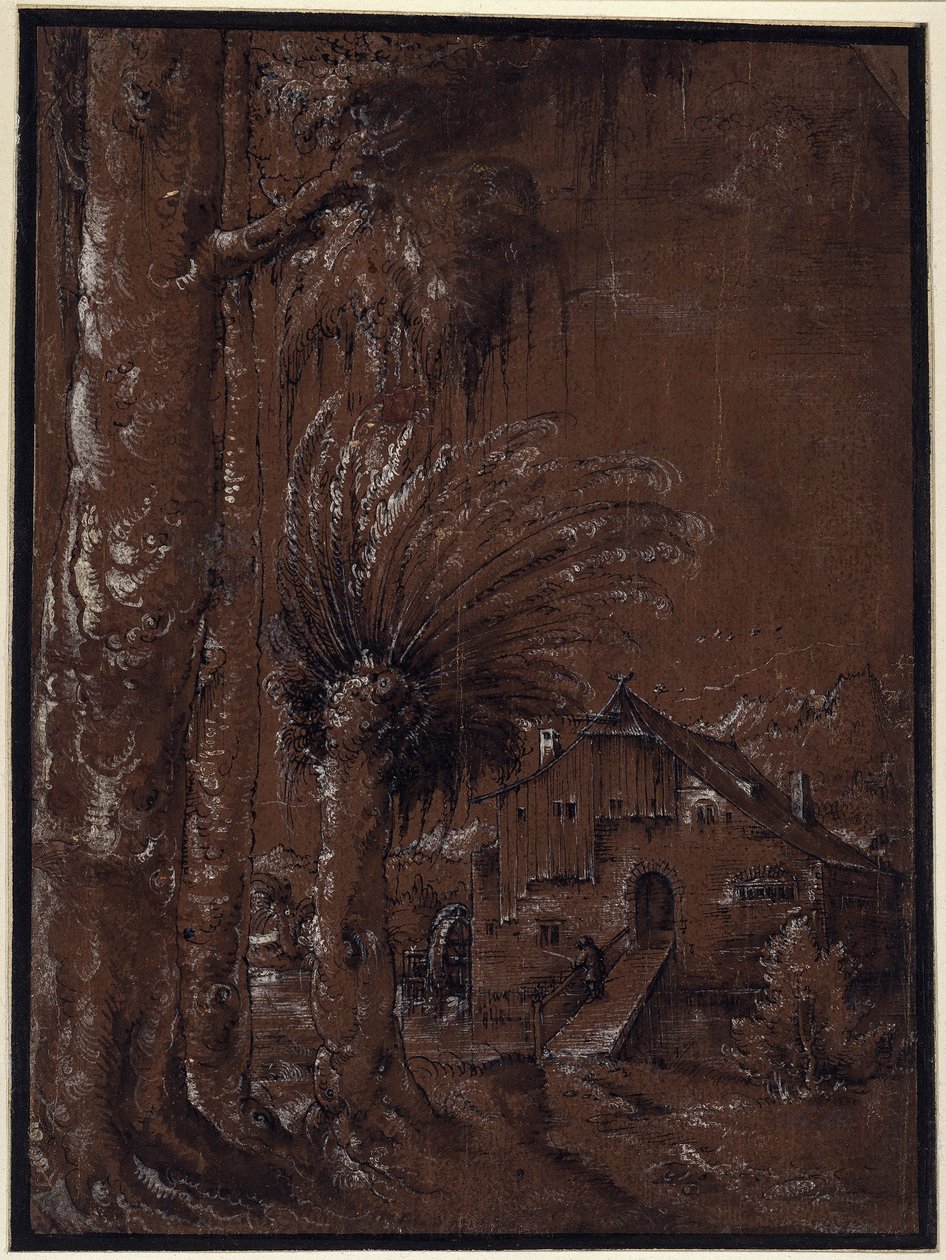 Krajina s vodním mlýnem od Albrecht Altdorfer