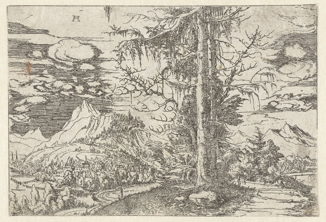 Krajina s dvojitou jedlí od Albrecht Altdorfer
