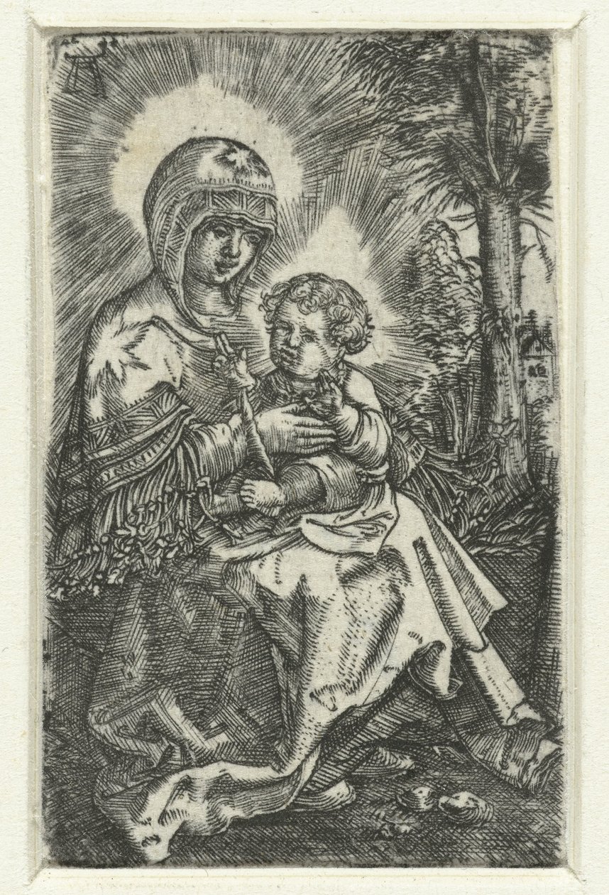 Maria se setkala s laskavým v krajině Krásná Maria z Řezna od Albrecht Altdorfer