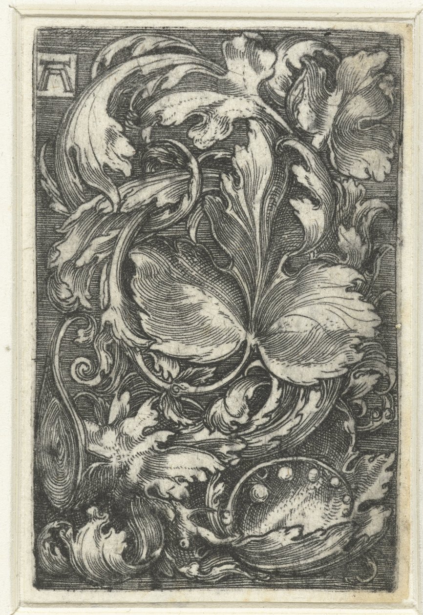 Ornament se setkal s blaranken od Albrecht Altdorfer