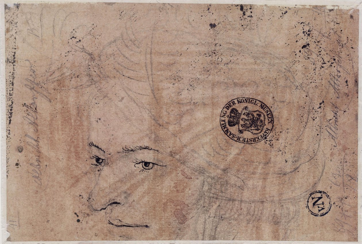 Portrétní skica mladého muže s čepicí od Albrecht Altdorfer
