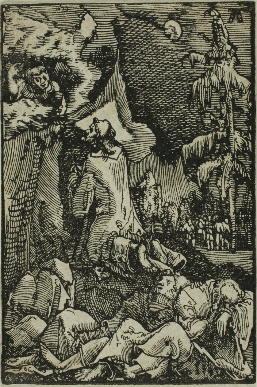Agónie v zahradě, z Pádu a Vykoupení člověka od Albrecht Altdorfer