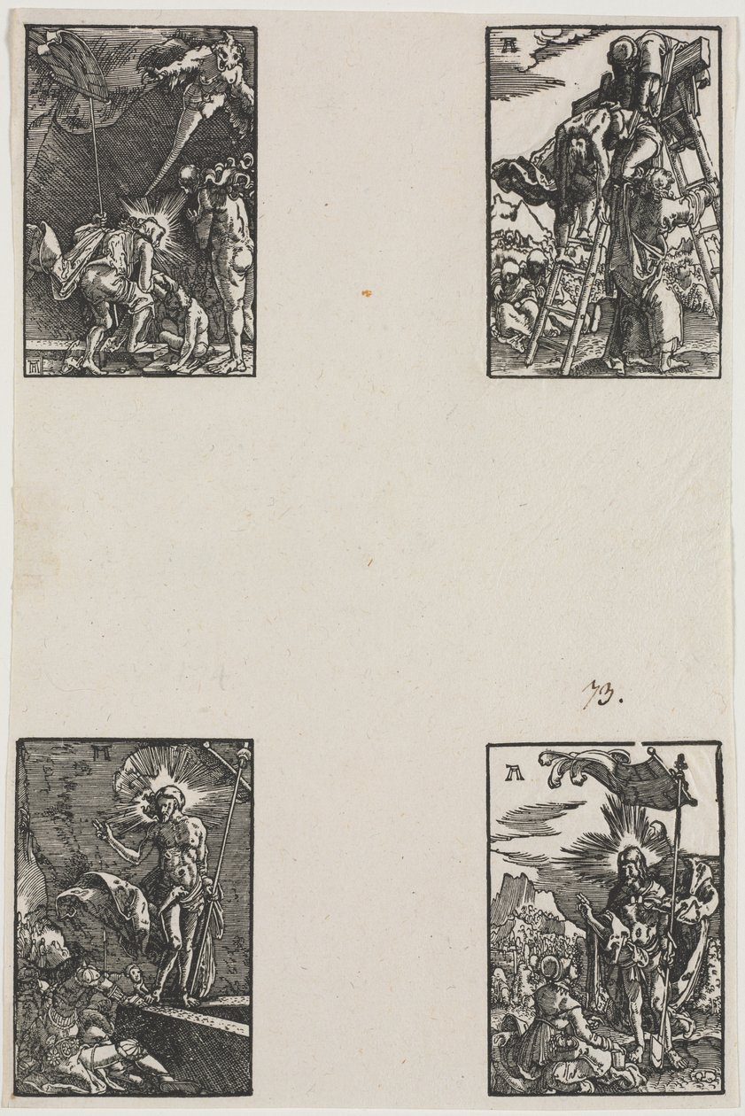 Pád a vykoupení člověka od Albrecht Altdorfer