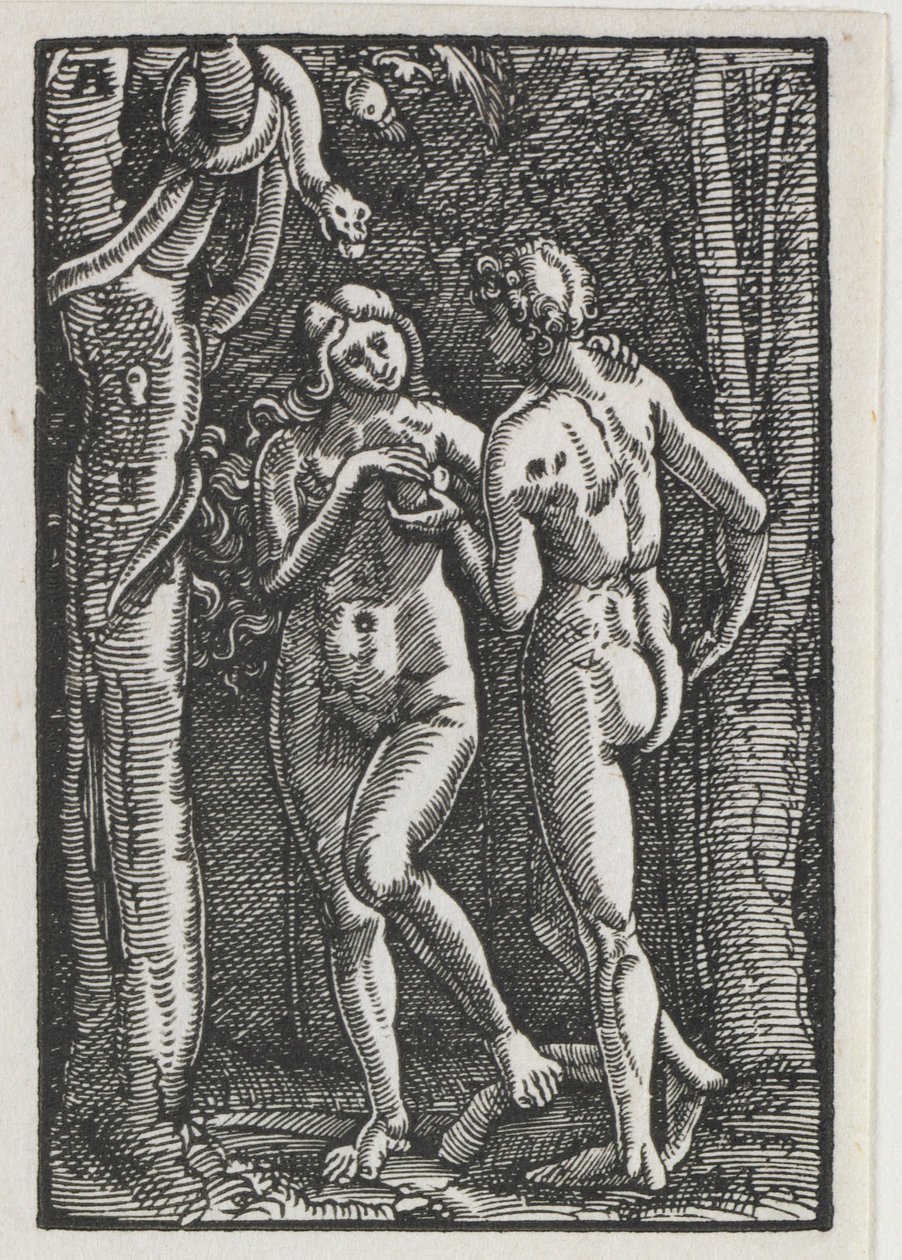 Pád a vykoupení člověka: Adam a Eva jedli zakázané ovoce, c. 1513. od Albrecht Altdorfer