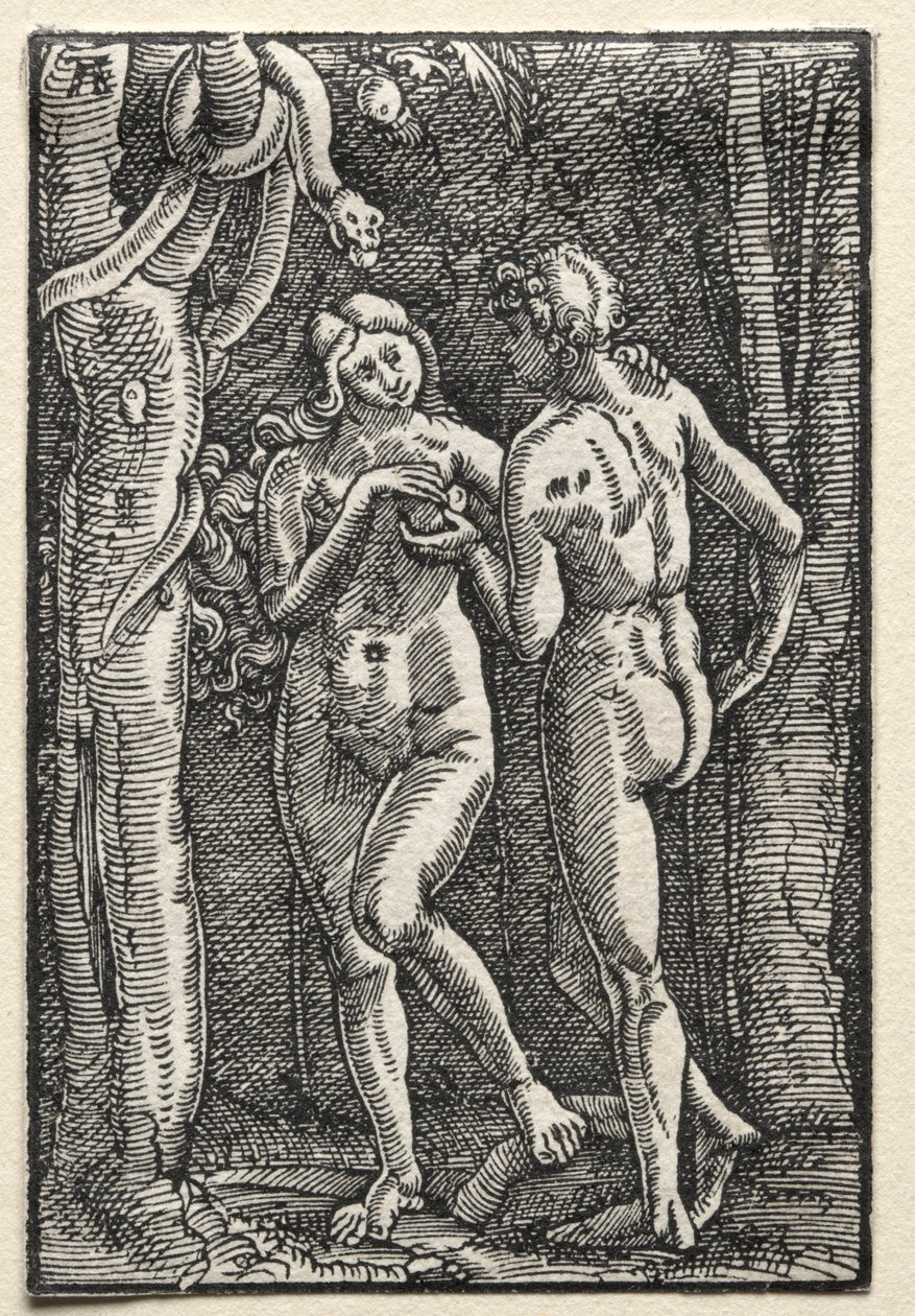 Pád a vykoupení člověka: Adam a Eva jedli zakázané ovoce, c. 1515. od Albrecht Altdorfer