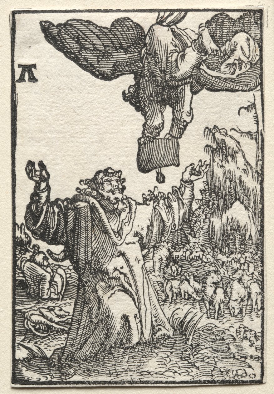 Pád a vykoupení člověka: Poselství anděla Joachimovi, c. 1515. od Albrecht Altdorfer
