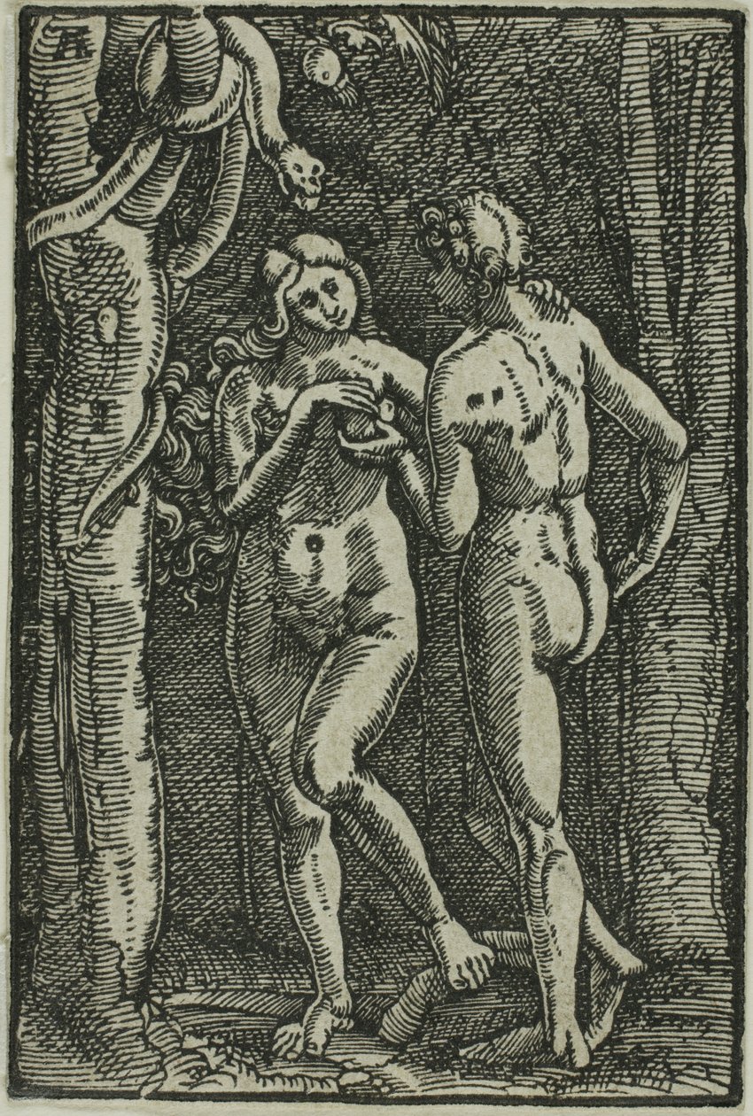 Pád člověka, z Pádu a vykoupení člověka od Albrecht Altdorfer