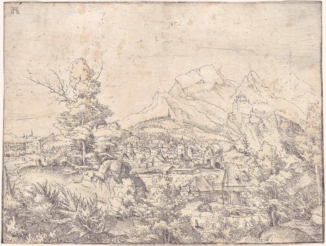 Velká krajina s vodním mlýnem od Albrecht Altdorfer