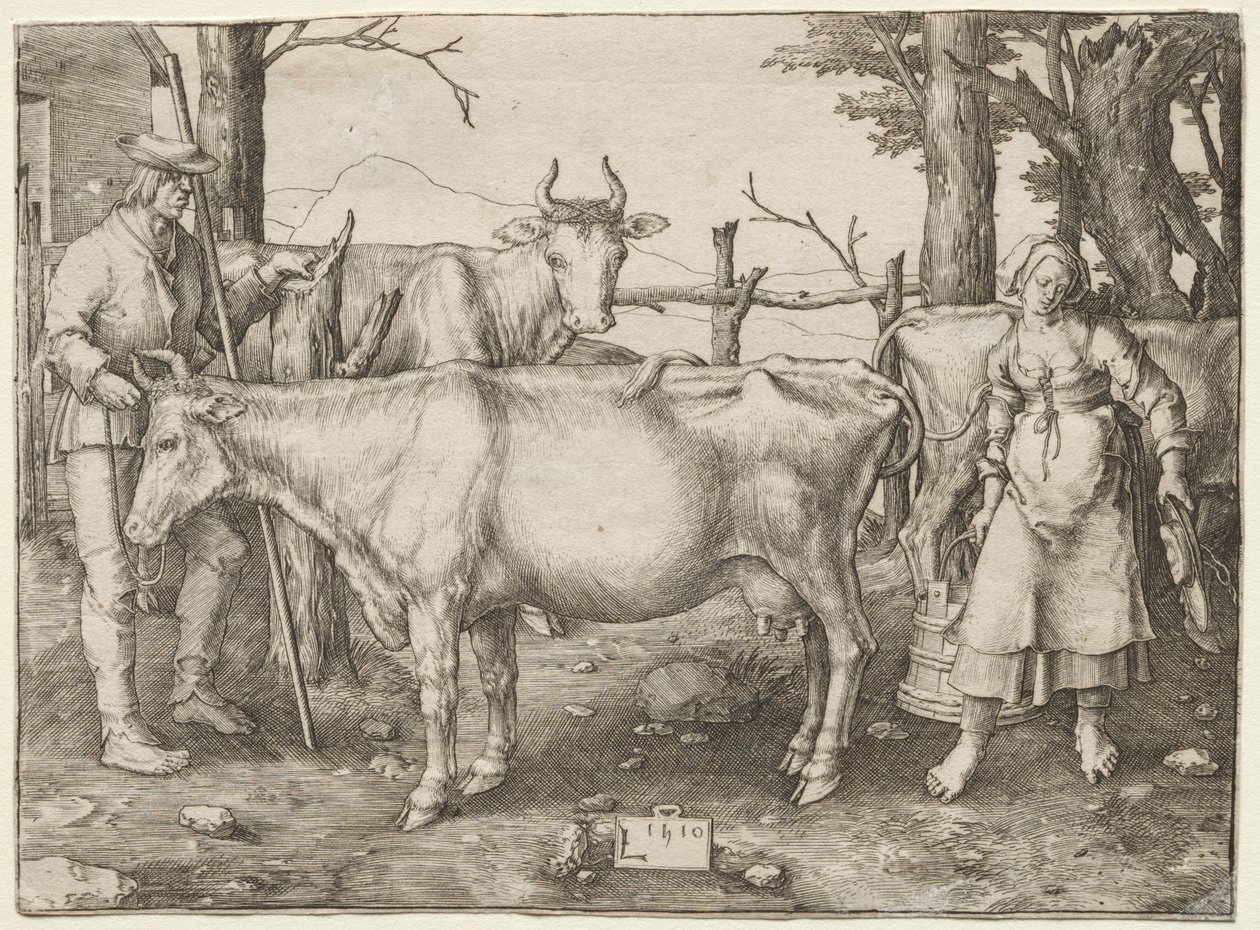 Dojička od Albrecht Altdorfer