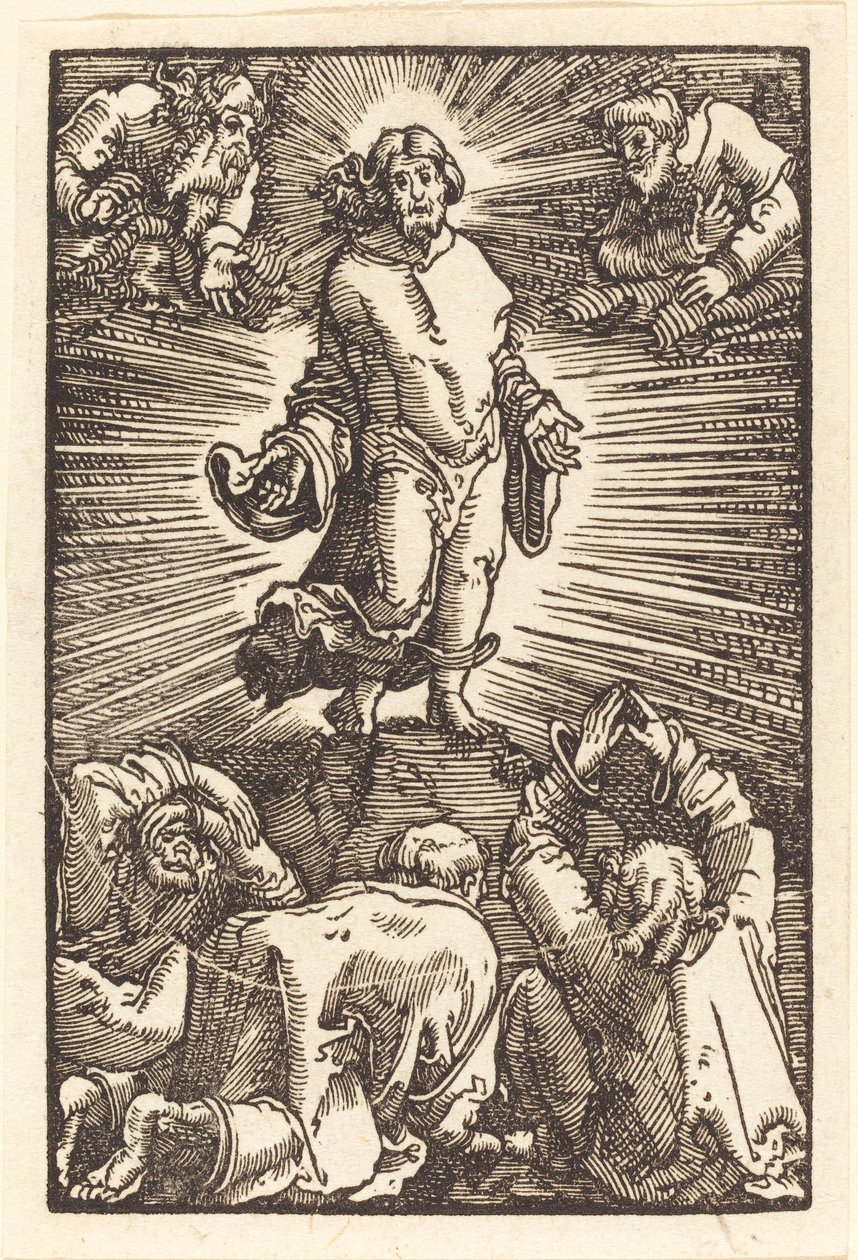 Proměna od Albrecht Altdorfer