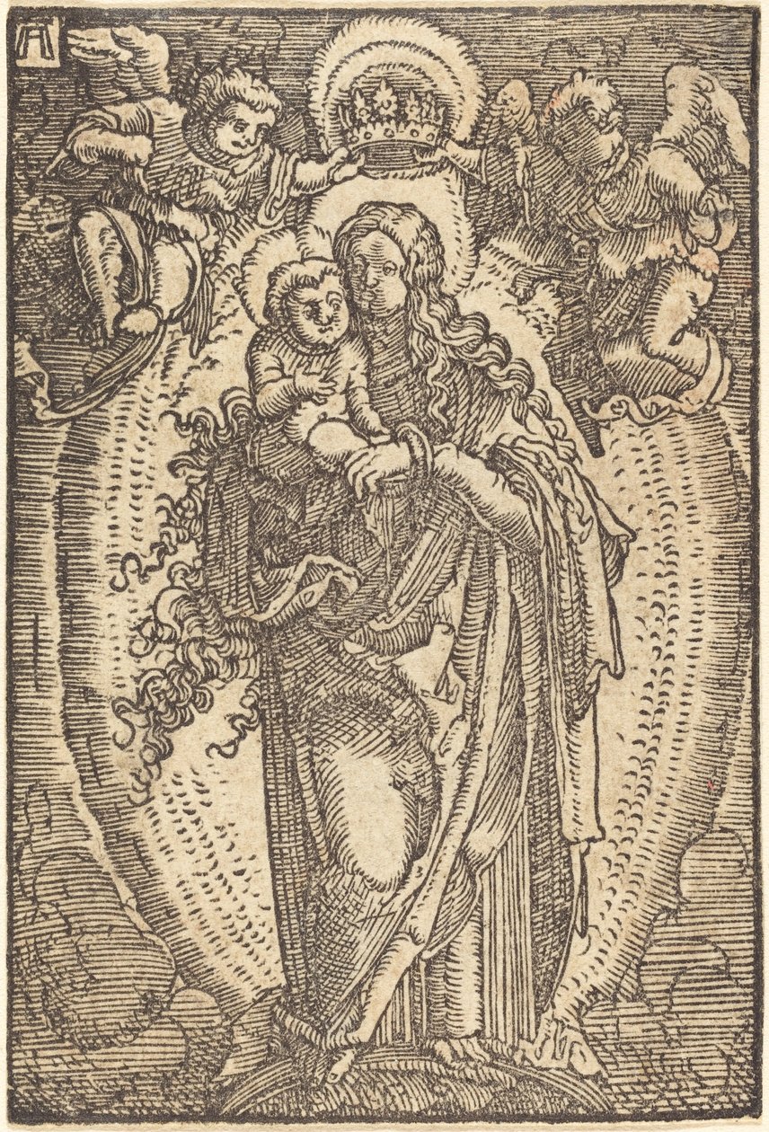 Panna korunovaná anděly od Albrecht Altdorfer