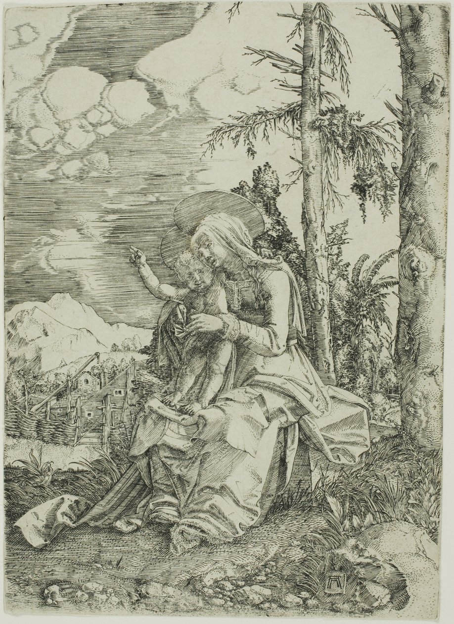 Panna s žehnajícím dítětem v krajině od Albrecht Altdorfer