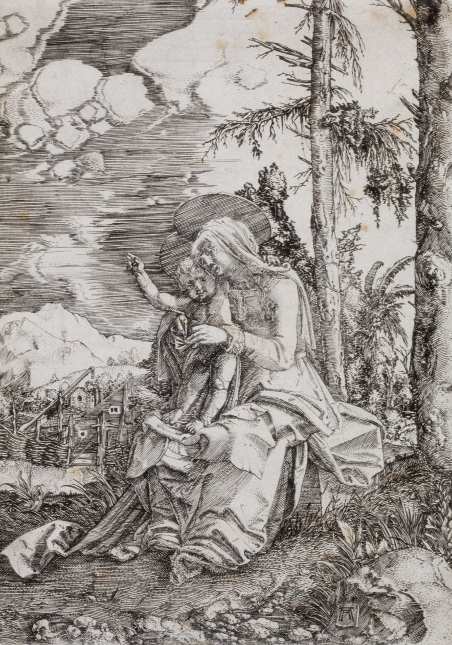 Panna Marie s dítětem v krajině od Albrecht Altdorfer