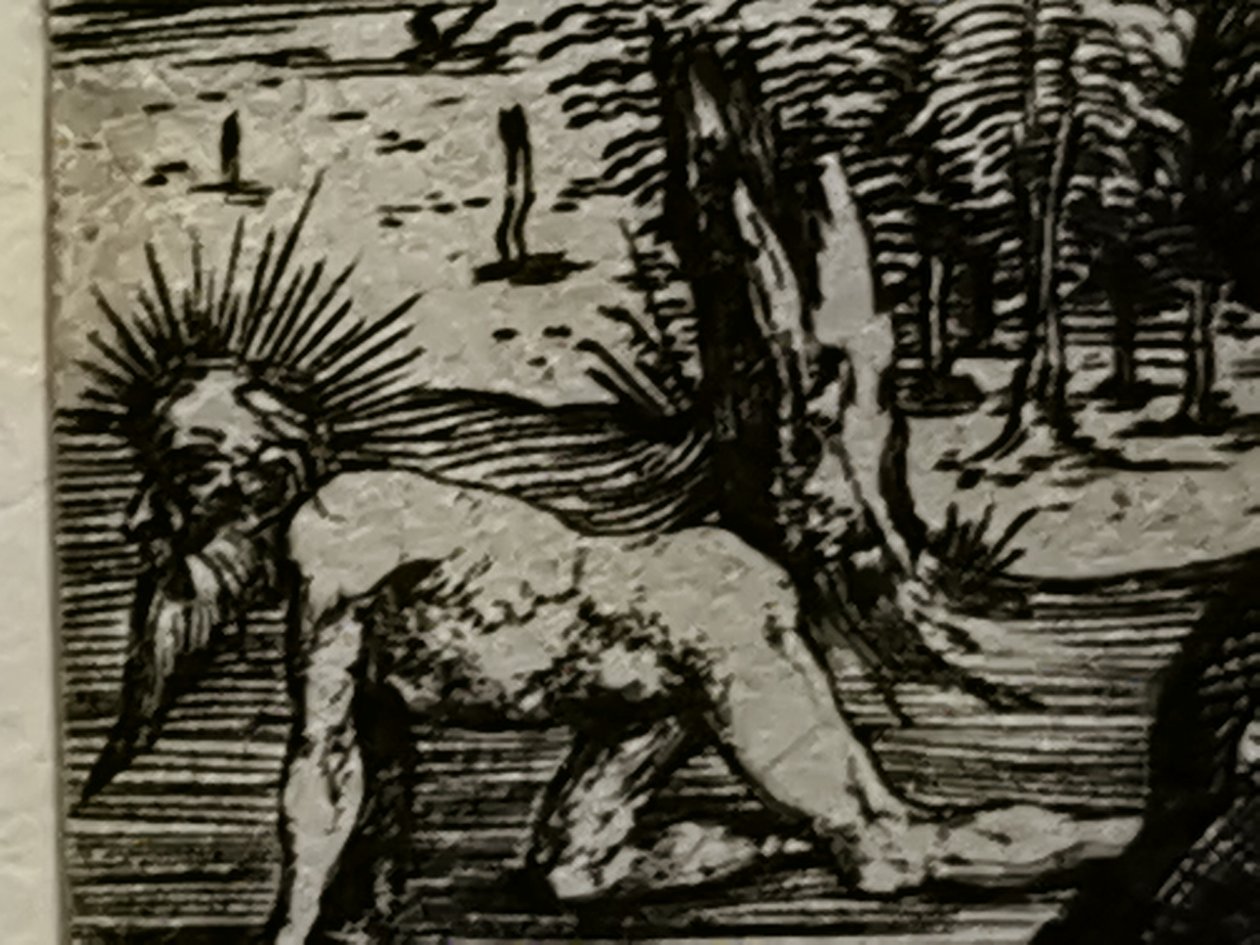 2021 - Druhá červencová dávka Mateus2019 (72) od Albrecht Dürer