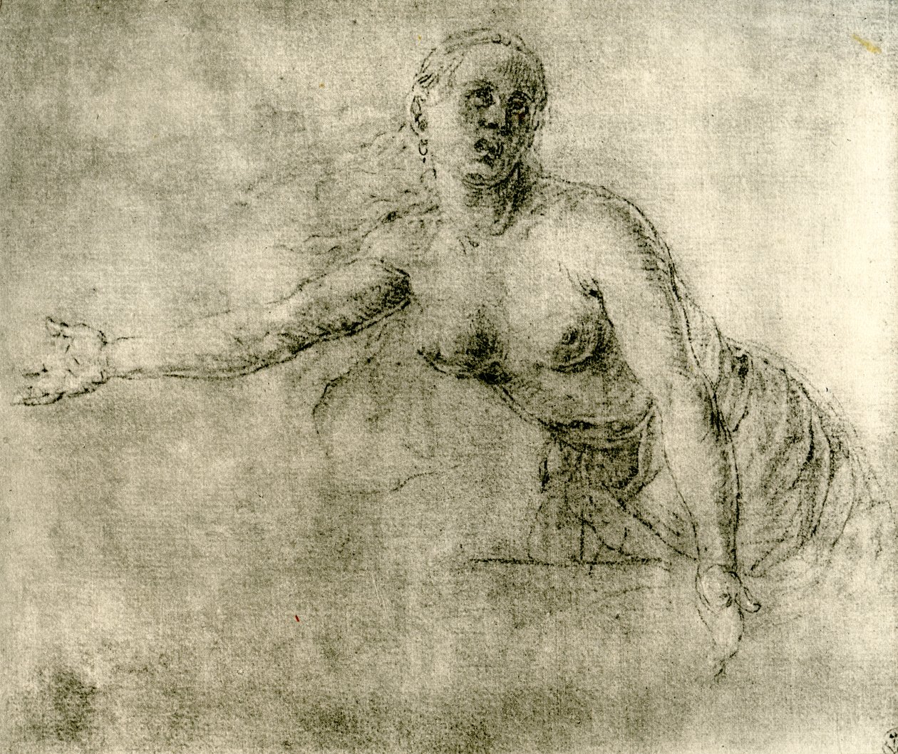 Studie, 1913 od Albrecht Dürer