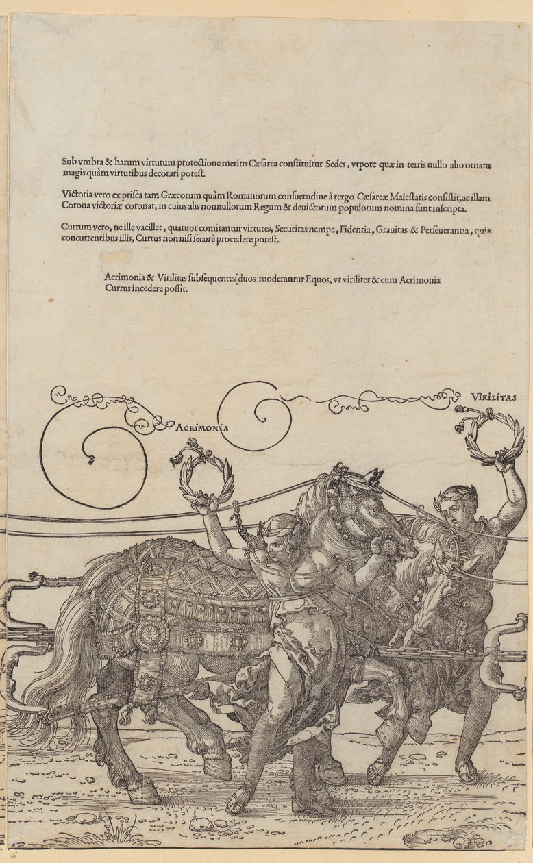 Acrimonia, list 6 ze série „Velký triumfální vůz“ od Albrecht Dürer