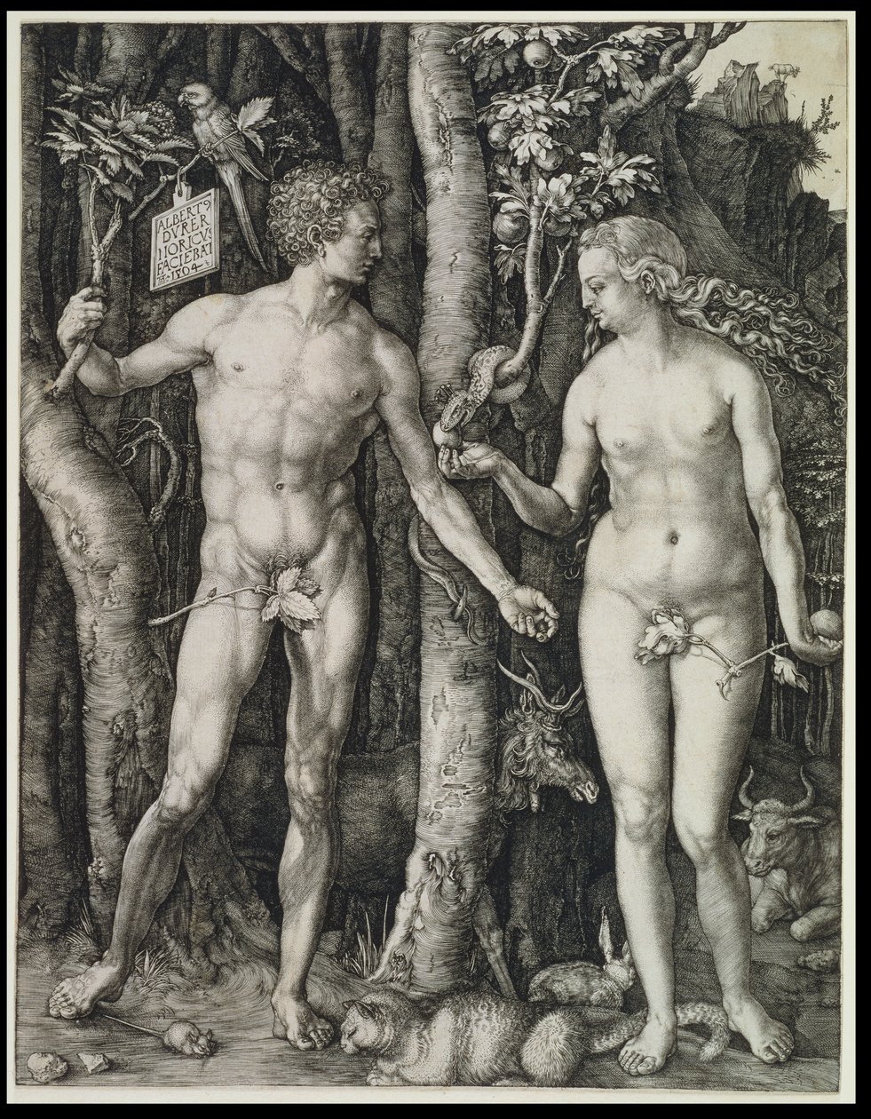 Adam a Eva (Pád člověka) od Albrecht Dürer