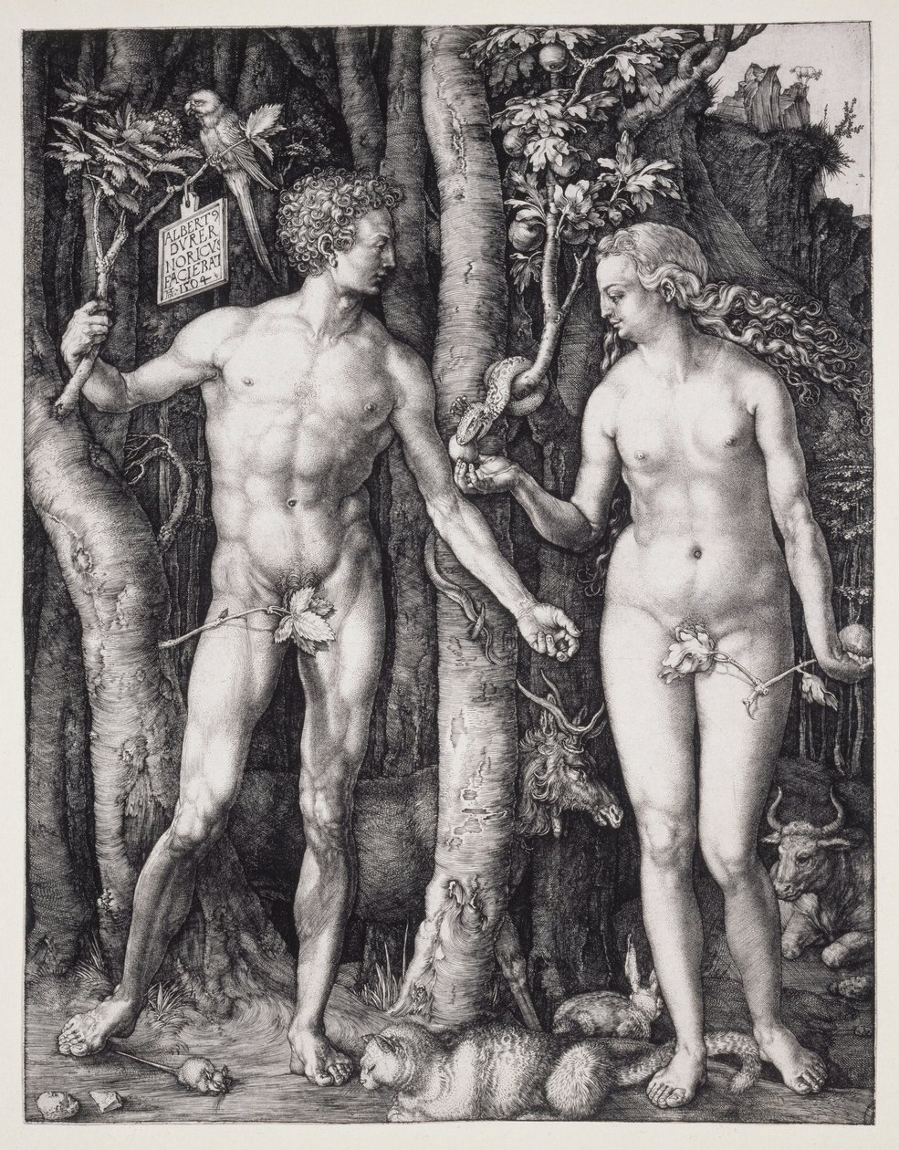 Adam a Eva od Albrecht Dürer